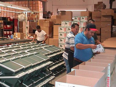 A Team Of Workers In A Factory Working On Massagers